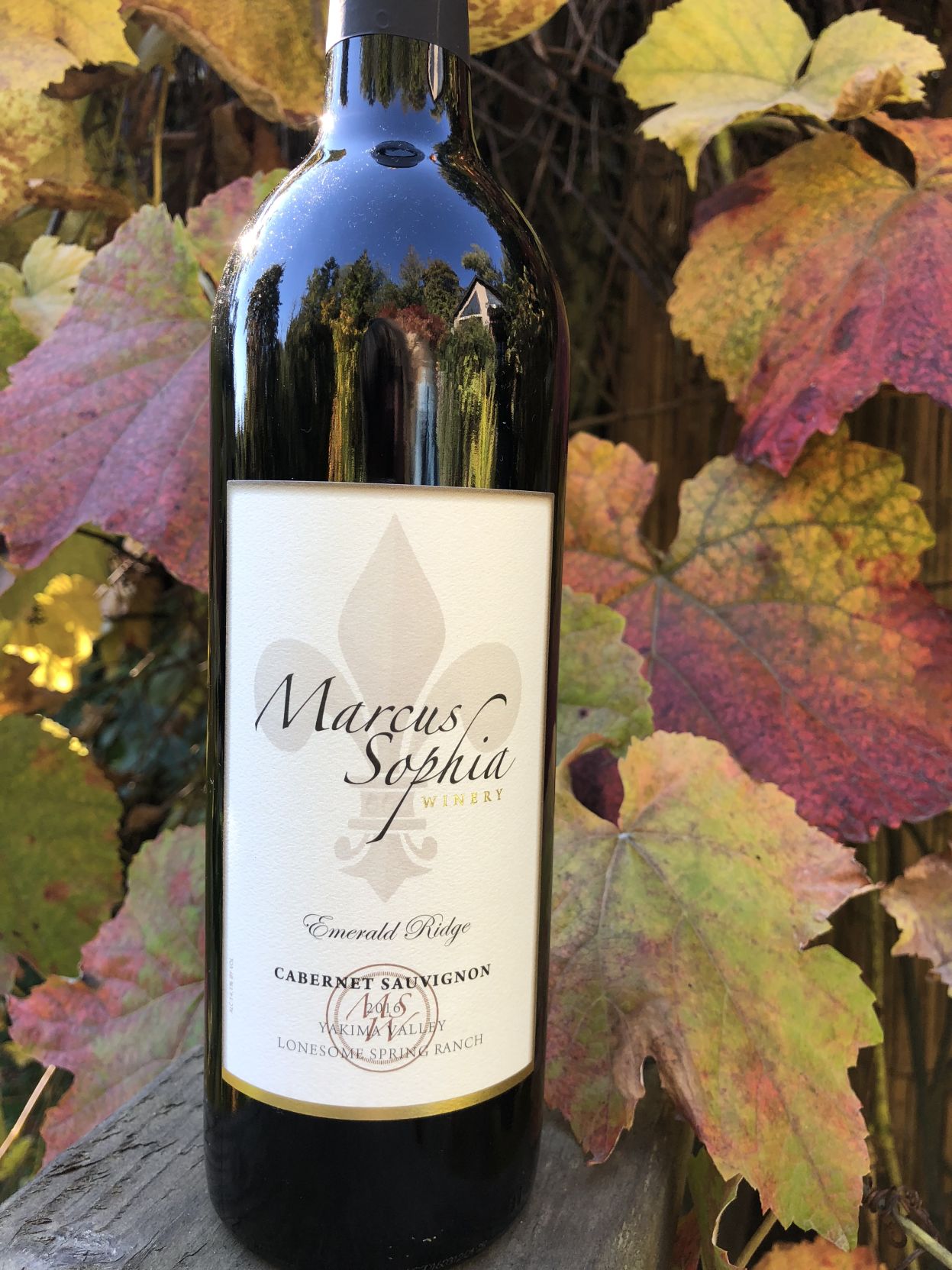 Marcus Sophia Cabernet.jpg